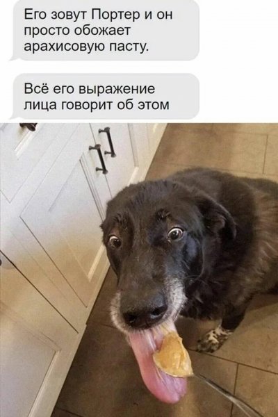 Файл #410511004