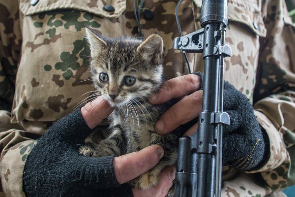 Котэ-Сипаратэ