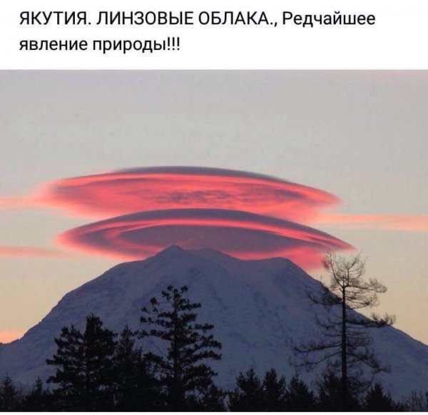 IMG-20190117-WA0018