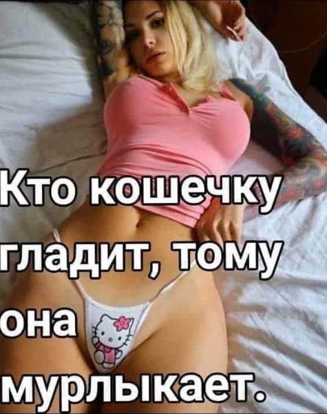 picture_275434433
