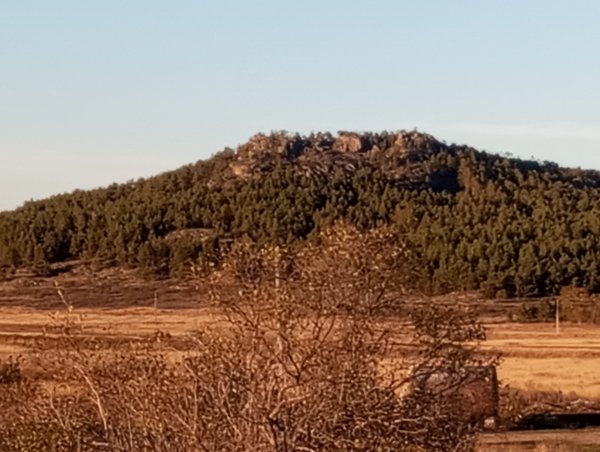 picture_420506811