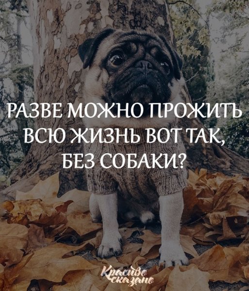 А???