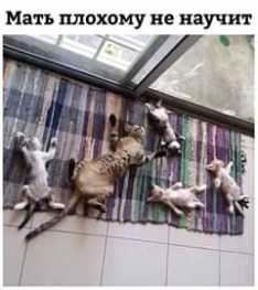 Мать