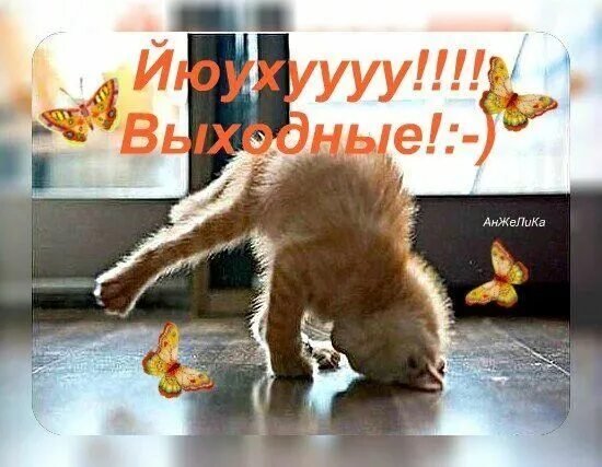 Да! ))