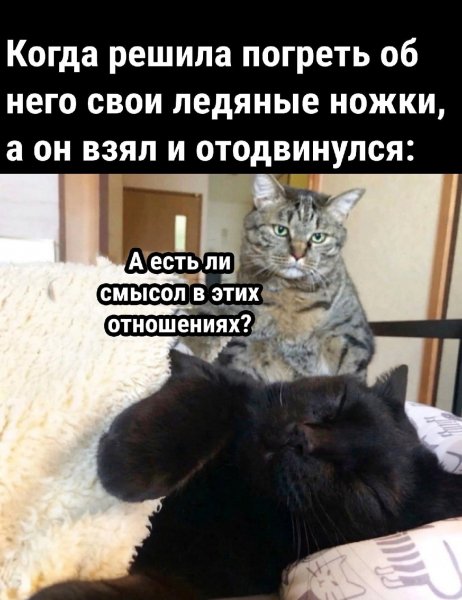 Отношения