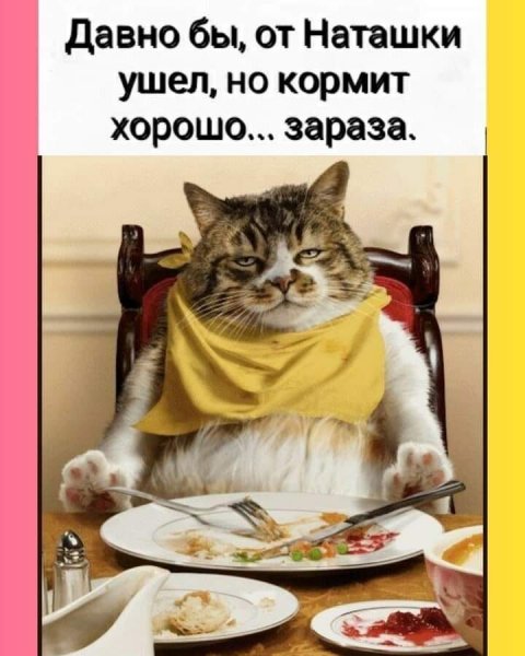 Зараза