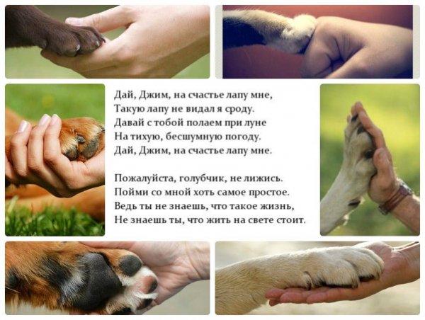 Дай, Джим...