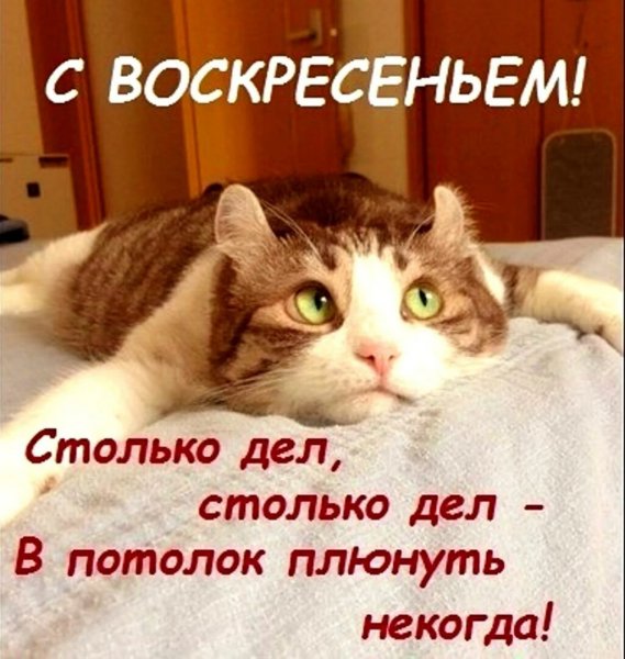 Да! ))