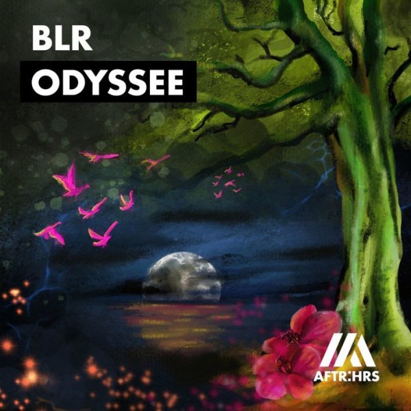 BLR - Night & Day
