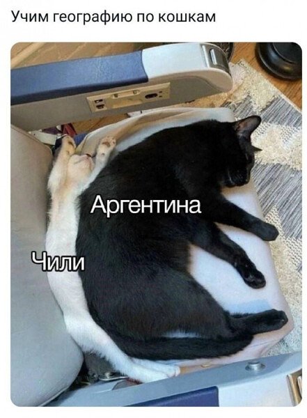 IMG 20260916 202648