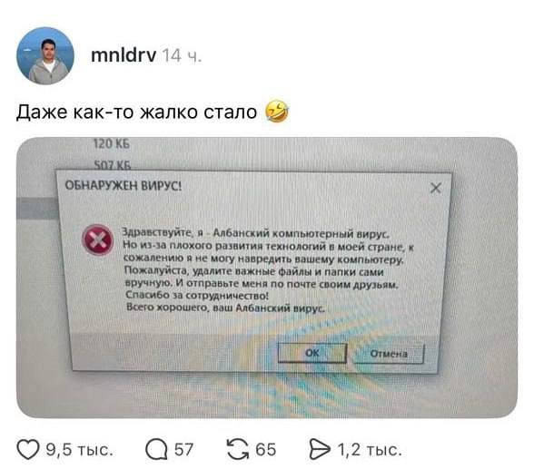 IMG 20261003 195351 131