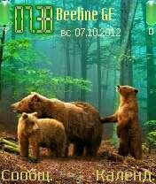 bear with cubs