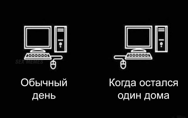 IMG 20260929 193638 453