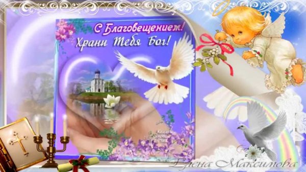file_81158479