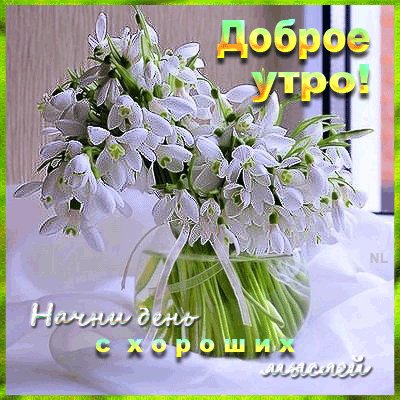 Доброе утро