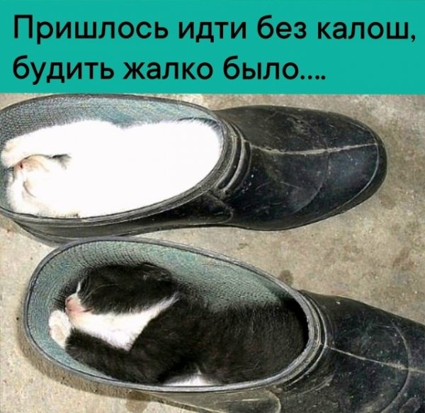 file_103547616