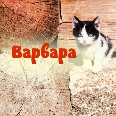 ВАРВАРА