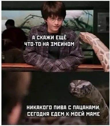 file_102634394