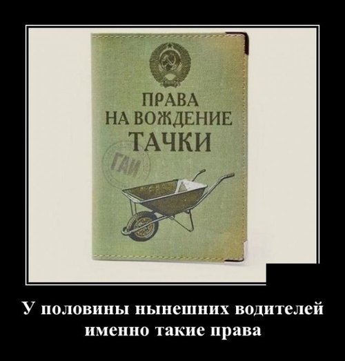 file_78369544