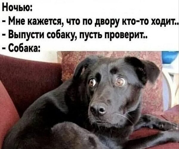 x500
