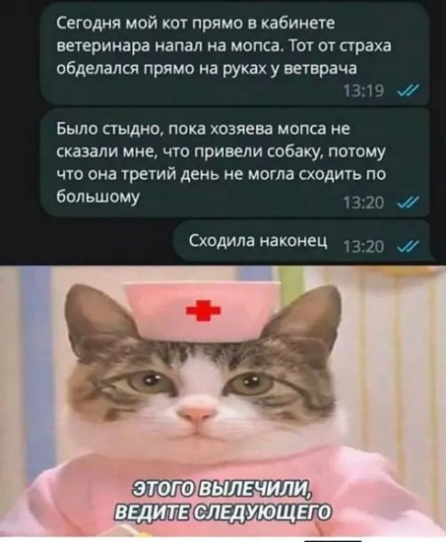 file_102134337