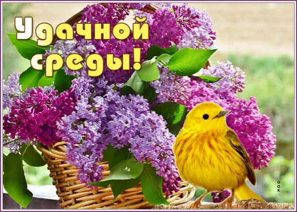 среда 041000