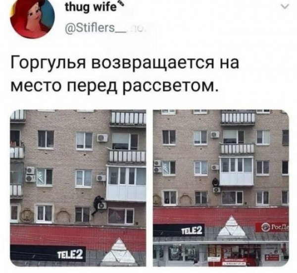 file_103547656