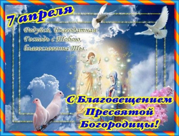 file_81159928
