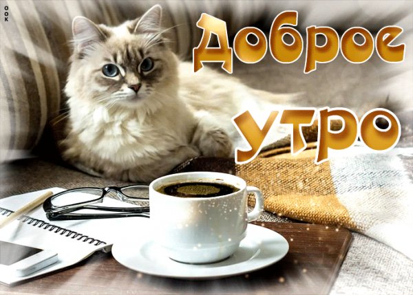 Доброе утро