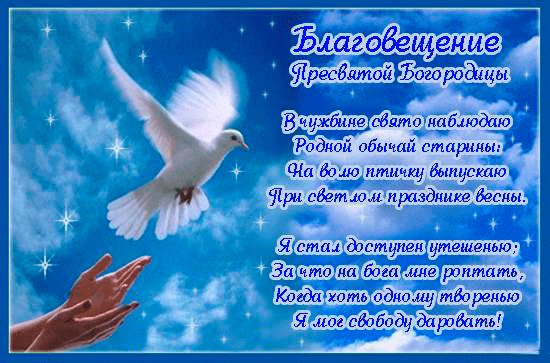 file_80921288