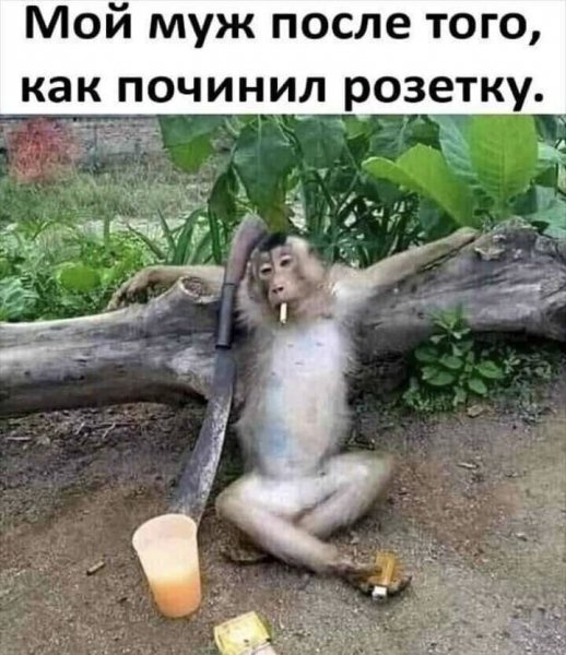Мой муж