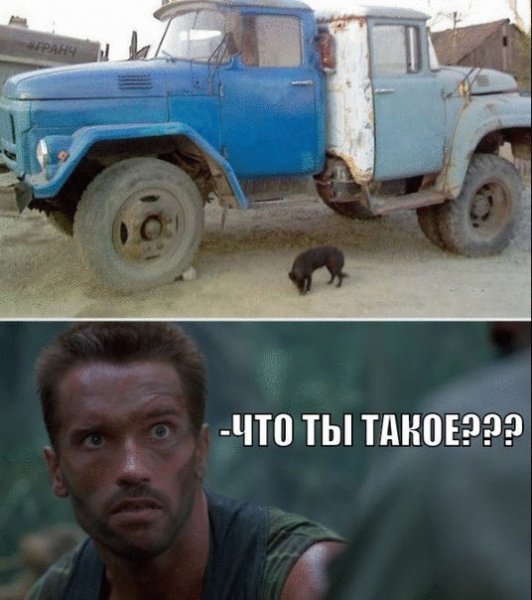 ja65jY1i06o