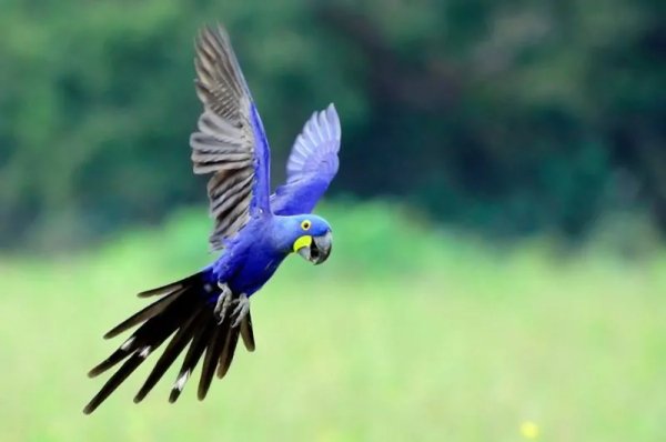 word-image-93