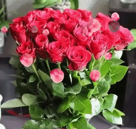 IMG 20180320 140856 56