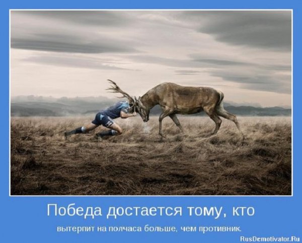 Победа достаётся тому, кто вытерпит
