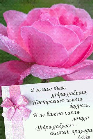 file_91504297