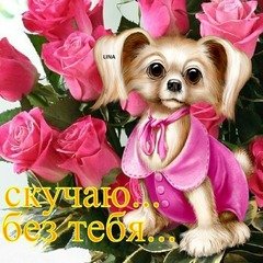 15a2526ff042d14d50ab06dd404b55b3
