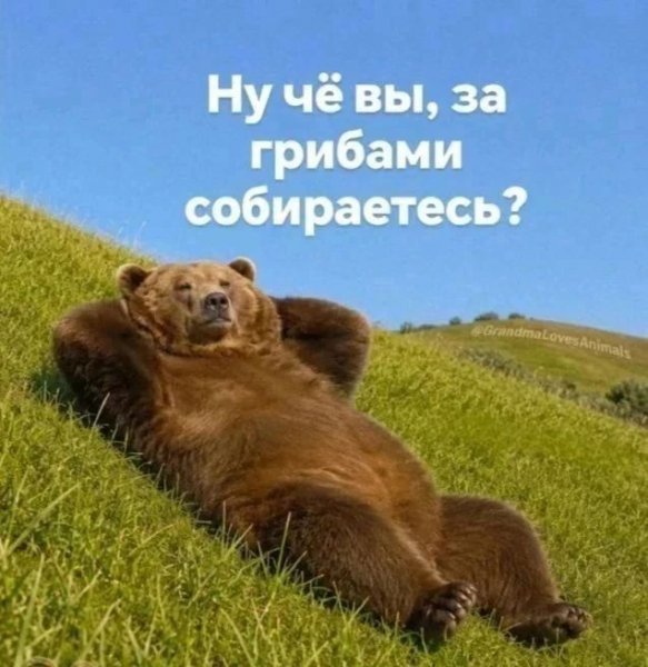 IMG 20260824 163942 533