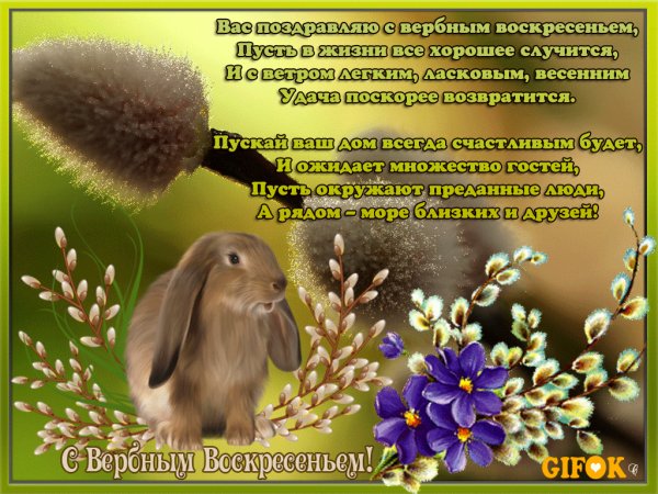 file_77254106