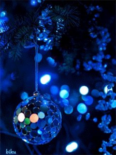 IMG 20200201 093833