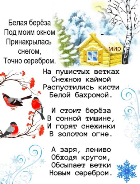 Белая берёза