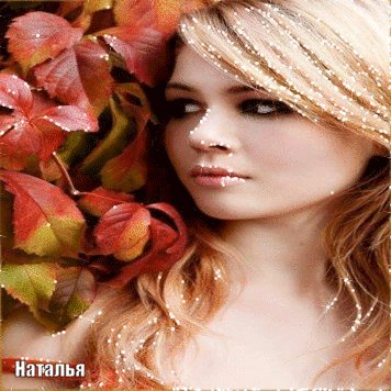 file_83293238