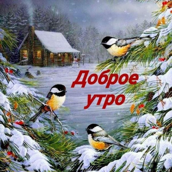 Доброе утро