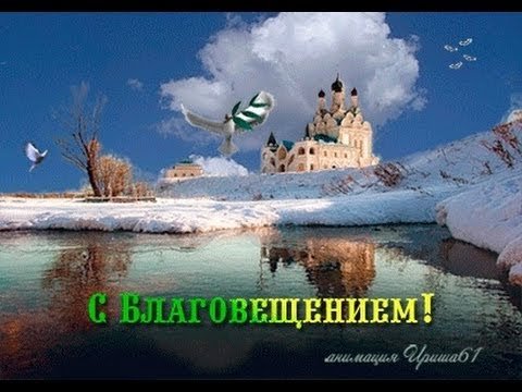 file_81159675