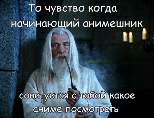 FSOidyXSCXY
