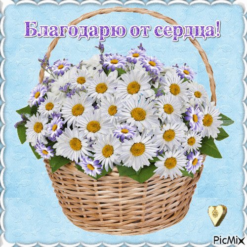 IMG 20180318 104932 29