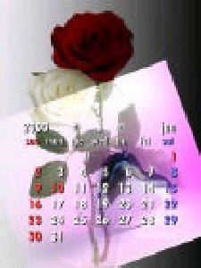 Rose-calendar fl1.1