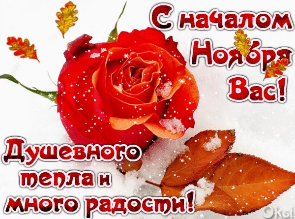 Анимированная открытка с началом ноября (1)