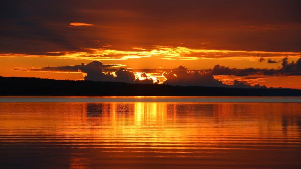 file_99295172