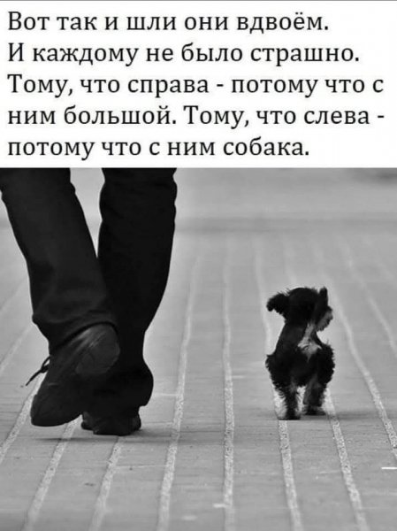 FB IMG 1740048499824